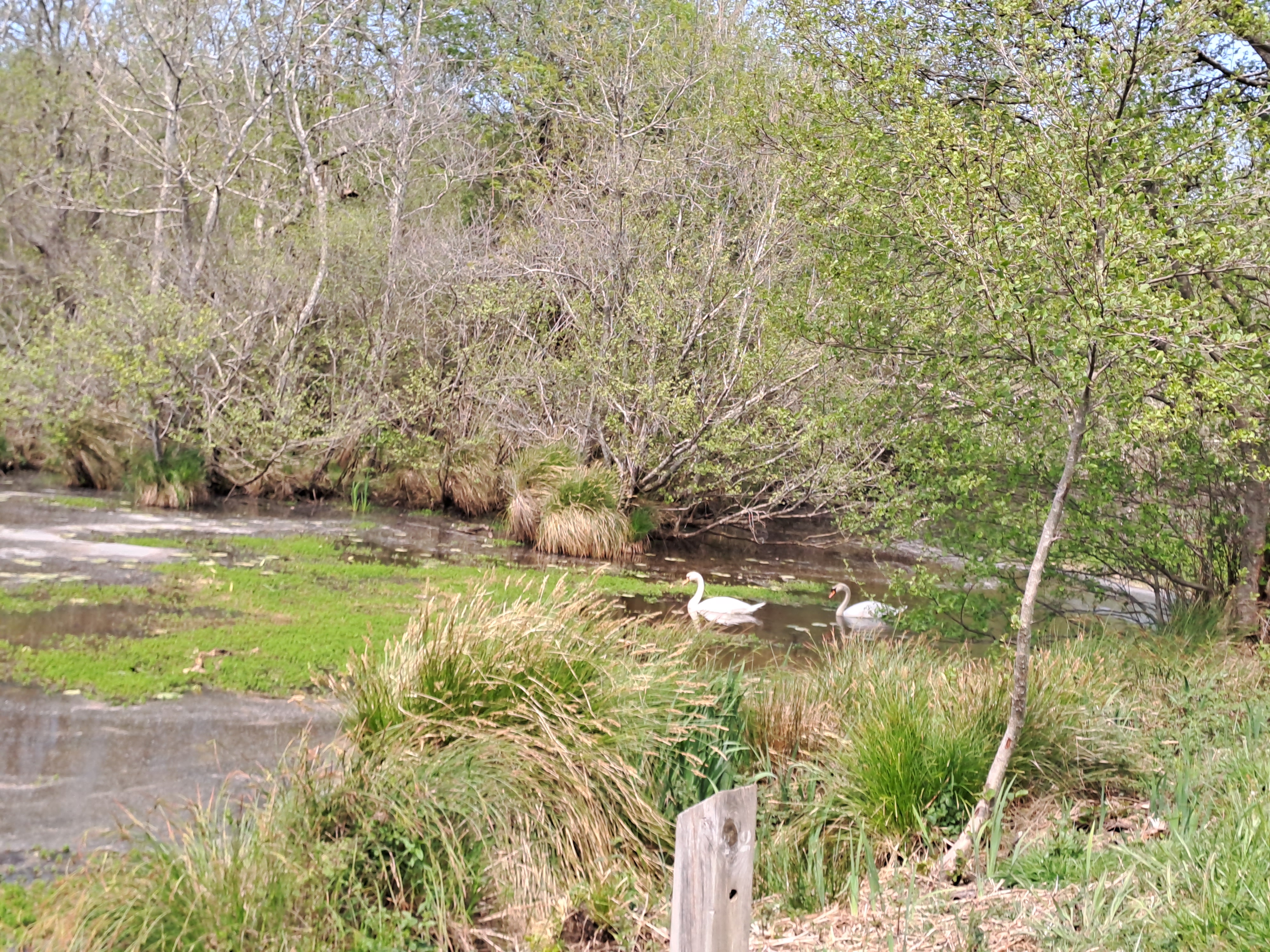 Photo n° 13 de l'avis de Karine.a fait le 23/04/2023 à 16:09