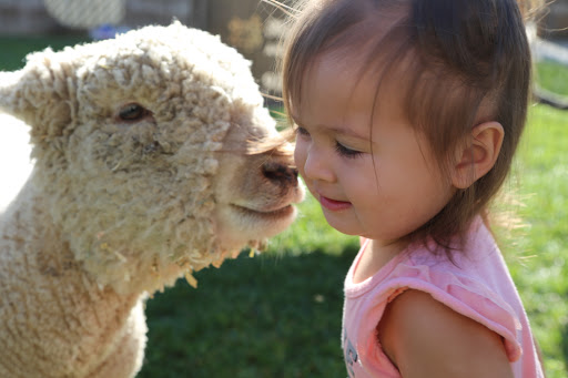 Preschool «Kiddie Academy of Fontana», reviews and photos, 11117 Sierra Ave, Fontana, CA 92337, USA