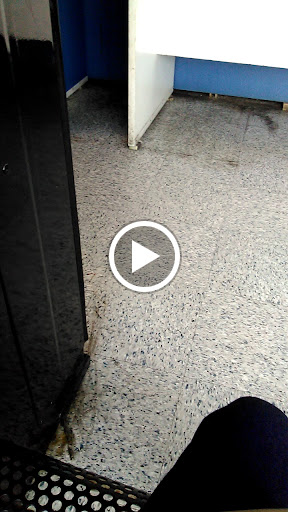 Grocery Store «Kroger», reviews and photos, 514 S Carrier Pkwy, Grand Prairie, TX 75051, USA