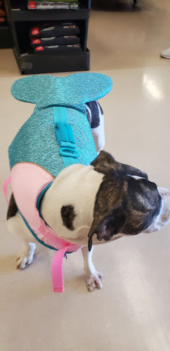 Pet Supply Store «Petco Animal Supplies», reviews and photos, 891 NE D St, Grants Pass, OR 97526, USA