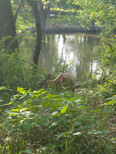 Nature Preserve «Schiller Woods East», reviews and photos, W Irving Park Rd, Chicago, IL 60634, USA