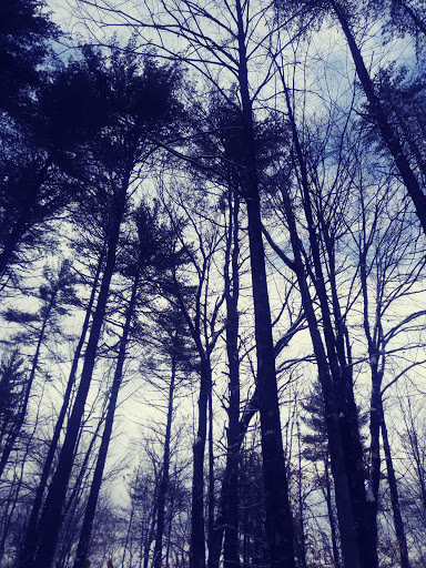 Environmental Organization «VINS Nature Center», reviews and photos, 6565 Woodstock Rd, Quechee, VT 05059, USA