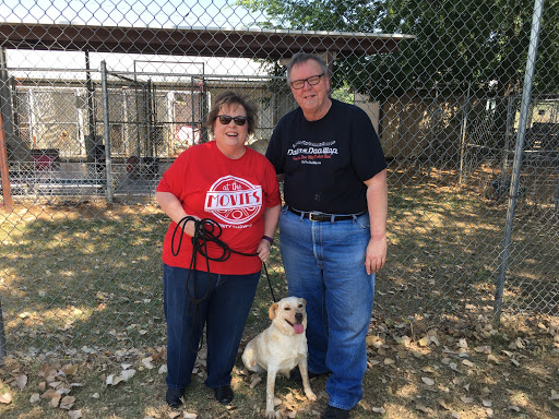 Bridgeport Animal Shelter