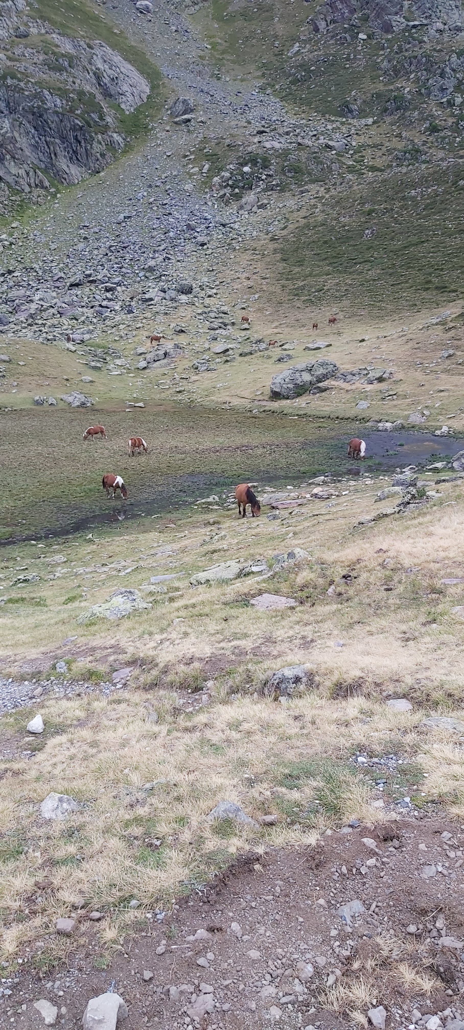 Photo n° 4 de l'avis de Romain.h fait le 18/08/2020 à 08:08