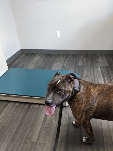 2111 E 900 S, Lynn, IN 47355, USA