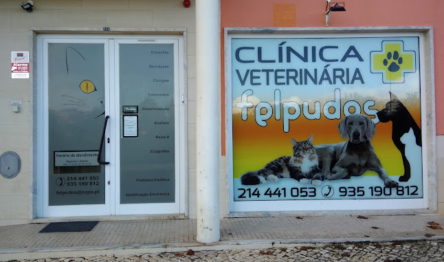 Avaliações doClínica Veterinária Felpudos (VETfelpudos) em Cascais - Veterinário