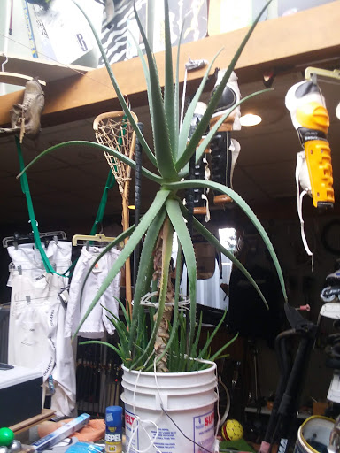 Replay Sports of Rutland, 361 US-7, Rutland, VT 05701, USA, 