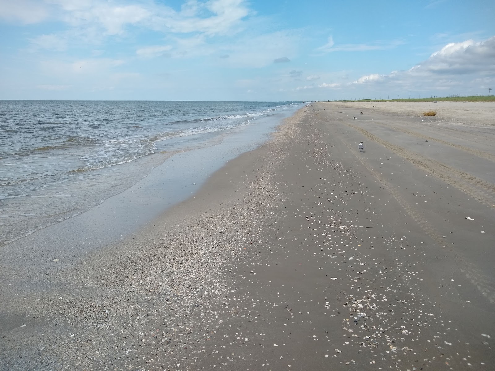 Photo de Holly beach avec rivage droit, long