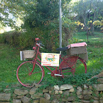 Photo n°1 de l'avis de Giuseppe.o fait le 01/11/2020 à 16:54 sur le  Trattoria Gracco à Montefiore Conca