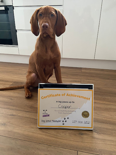 Dogs Trust Dog School Manchester East