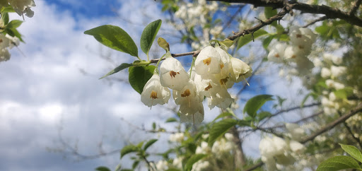 Dog Park «Thomas Bull Memorial Park», reviews and photos, 211 New York 416, Montgomery, NY 12549, USA
