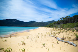Sealers Cove Beach'in fotoğrafı çok temiz temizlik seviyesi ile