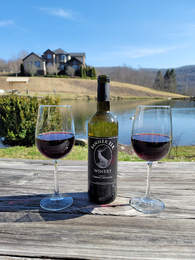 Winery «Banner Elk Winery & Villa», reviews and photos, 60 Deer Run Rd, Banner Elk, NC 28604, USA
