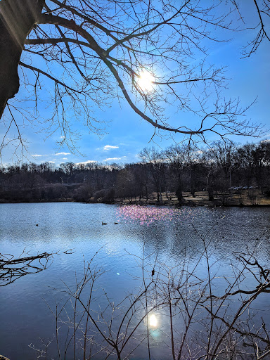 Park «Friends of Van Cortlandt Park», reviews and photos, 80 Van Cortlandt Park S, Bronx, NY 10463, USA