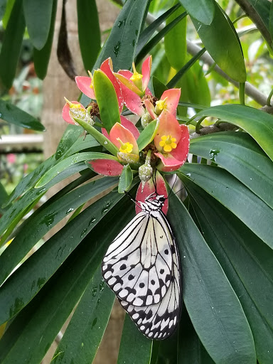 Natural History Museum «Florida Museum of Natural History», reviews and photos, 3215 Hull Rd, Gainesville, FL 32611, USA