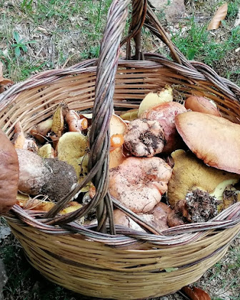 Plats et boissons Bed & Breakfast Torre camigliati 87052 Camigliatello Silano