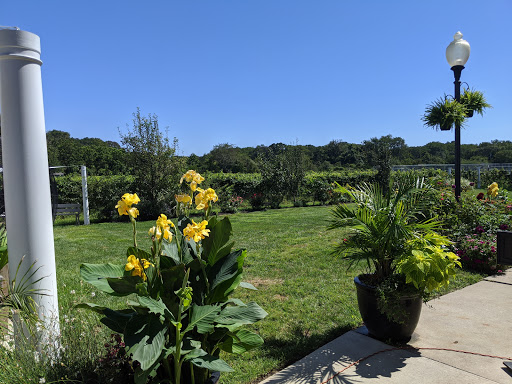 Winery «Turdo Vineyards», reviews and photos, 3911 Bayshore Rd, Cape May, NJ 08204, USA