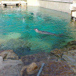 Photo n° 26 de l'avis de Steve.A fait le 23/07/2020 à 18:03 pour Parc animalier et botanique & Parcabout de Branféré à Le Guerno