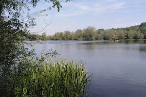 Mapperley Reservoir image