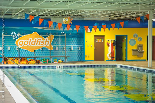 Goldfish Swim School - Evanston