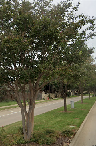 Recreation Center «Roanoke Recreation Center», reviews and photos, 501 Roanoke Rd, Roanoke, TX 76262, USA