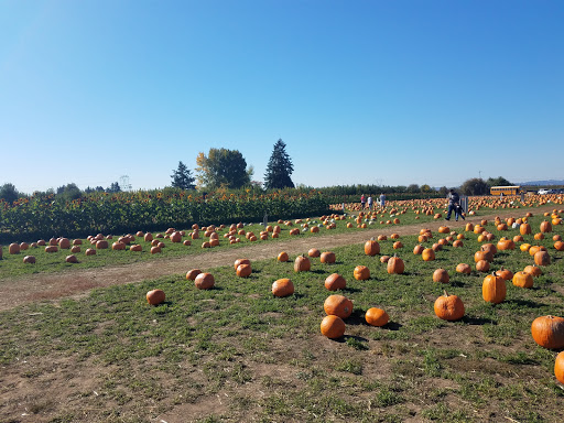 Market «E Z Orchards Farm Market», reviews and photos, 5504 Hazelgreen Rd NE, Salem, OR 97305, USA