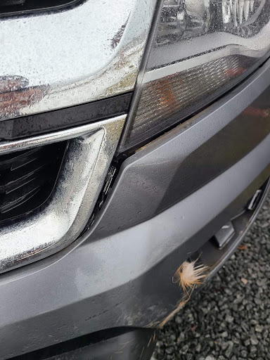 Car Dealer «i.g.Burton Chevrolet of Milford», reviews and photos, 793 Bay Rd, Milford, DE 19963, USA