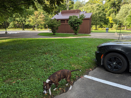 Pet Supply Store «Pet Supplies Plus», reviews and photos, 1150 N Court St #2A, Medina, OH 44256, USA