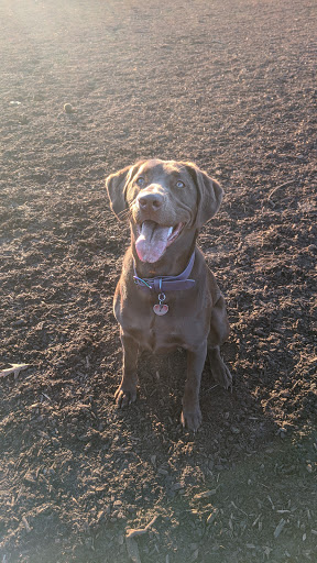 Pet Store «Pet Food Discounters», reviews and photos, 607 Woodbrook Dr, Charlottesville, VA 22901, USA