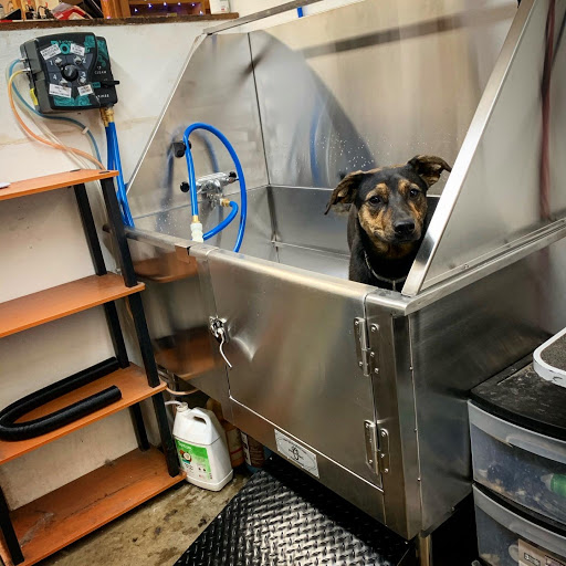 Pet Supply Store «Cold Nose Warm Heart Pet Care, LLC», reviews and photos, 329 US-24, Leadville, CO 80461, USA