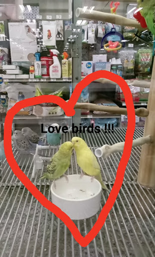 Pet Supply Store «Petco Animal Supplies», reviews and photos, 1203 SE Everett Mall Way f, Everett, WA 98208, USA