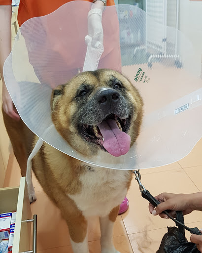 Clínica Veterinaria Silvican en Boadilla del Monte