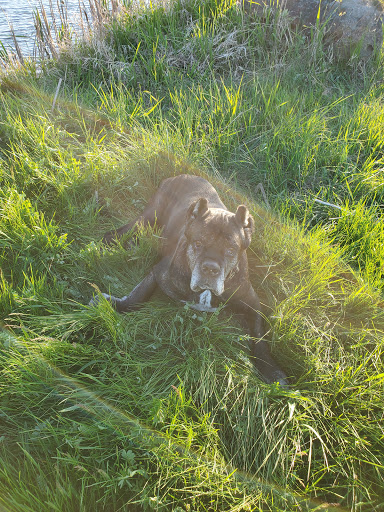 Golf Club «Mill Creek Golf Club», reviews and photos, 128 Cedars Ave, Churchville, NY 14428, USA