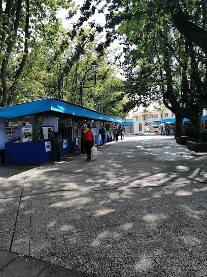 Plaza Teodoro Schmidt