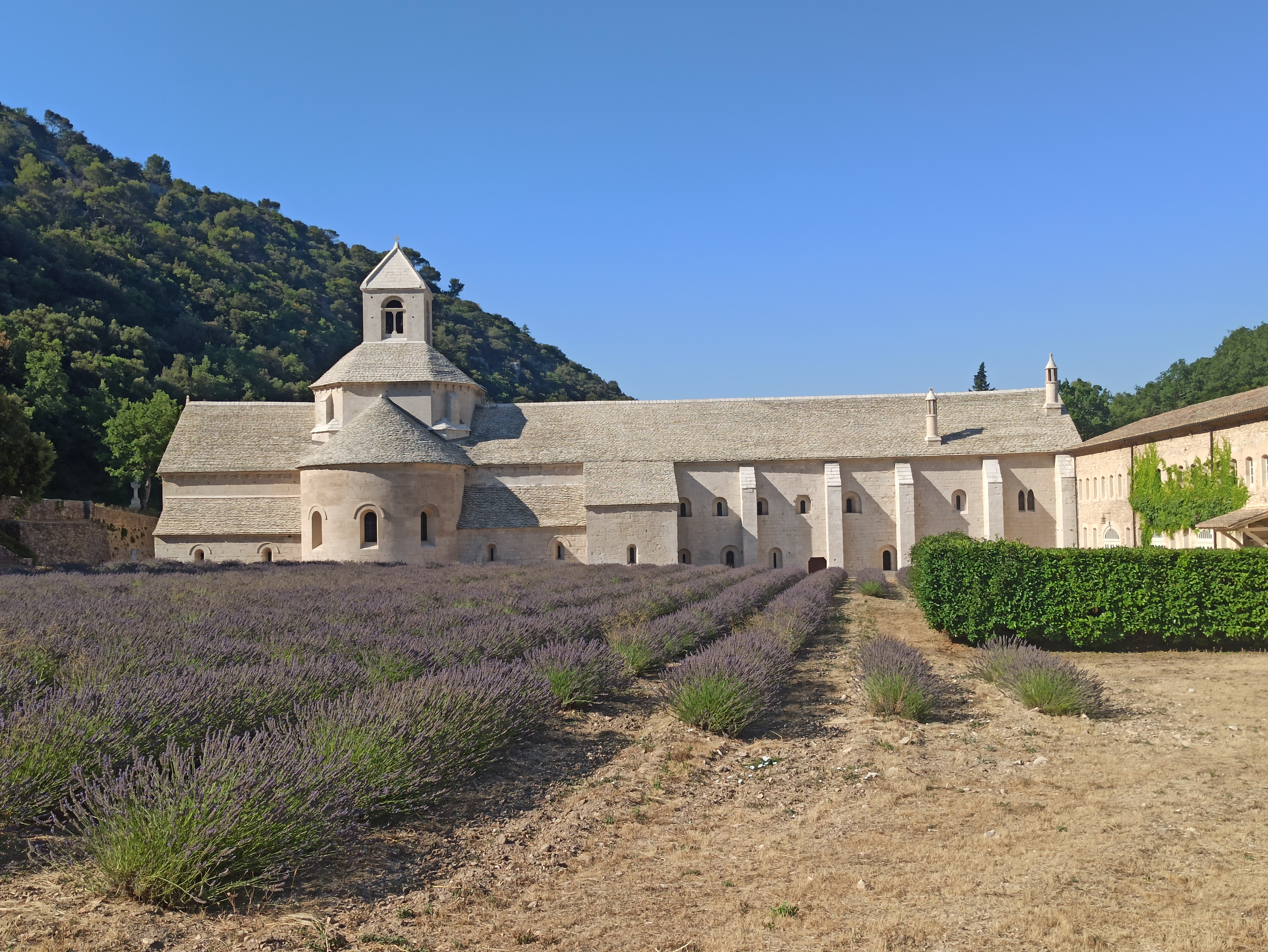 Photo n° 10 de l'avis de Veltas. fait le 20/07/2022 à 13:24