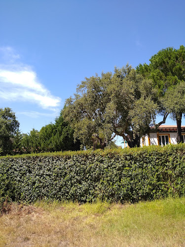 Opinii despre Biblioteca/API în Valença - Campo de futebol