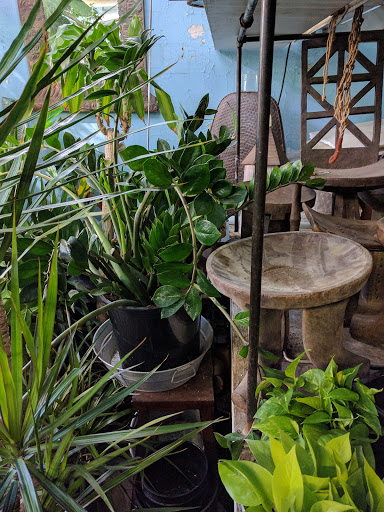 Florist «Green Inc», reviews and photos, 1718 N Wells St, Chicago, IL 60614, USA