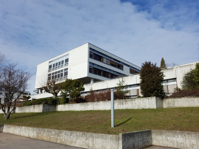 Rezensionen über Establishment Primary And Secondary De Lelianov in Lausanne - Schule
