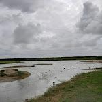 Photo n° 10 de l'avis de Hedauville. fait le 23/08/2020 à 13:35 pour Réserve Naturelle Nationale de la Baie de Somme à Saint-Quentin-en-Tourmont