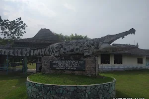 Taman Buaya Indonesia Jaya image