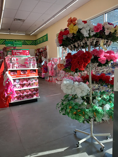 Dollar Store «Dollar Tree», reviews and photos, 383 Allen St, Springfield, MA 01118, USA