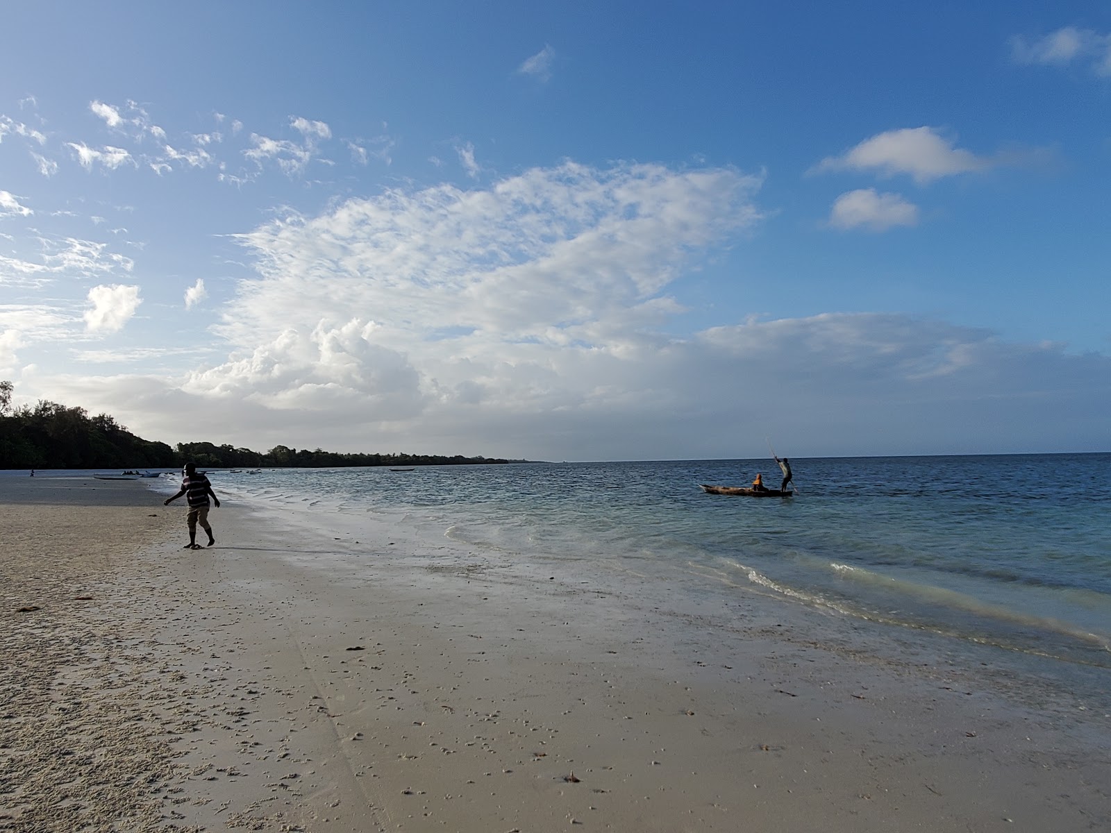 Vumawimbi Beach'in fotoğrafı vahşi alan