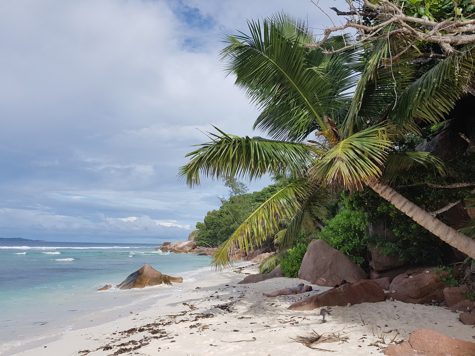 Anse Gaulettes Beach的照片 带有碧绿色纯水表面