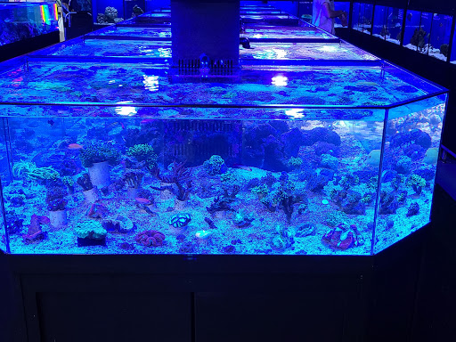 Tropical Fish Store «Marine Solutions», reviews and photos, 20 Triad S Dr, St Charles, MO 63304, USA