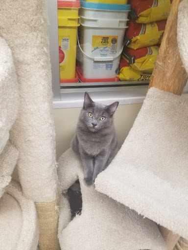 Pet Supply Store «Petco Animal Supplies», reviews and photos, 806 Sunrise Hwy, Baldwin, NY 11510, USA