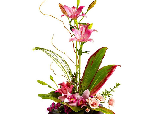 Florist «Tiger Lily Floral», reviews and photos, 700 E Sahara Ave, Las Vegas, NV 89135, USA