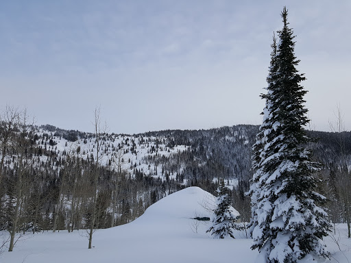 Ski Rental Service «Weber State University Outdoor Program», reviews and photos, 4022 Stadium Way #3301, Ogden, UT 84403, USA