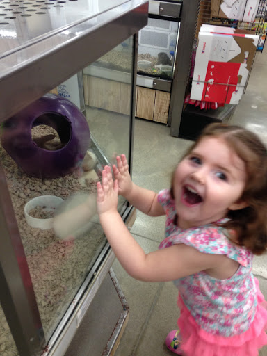 Pet Supply Store «Petco Animal Supplies», reviews and photos, 2807 Wilma Rudolph Blvd, Clarksville, TN 37040, USA