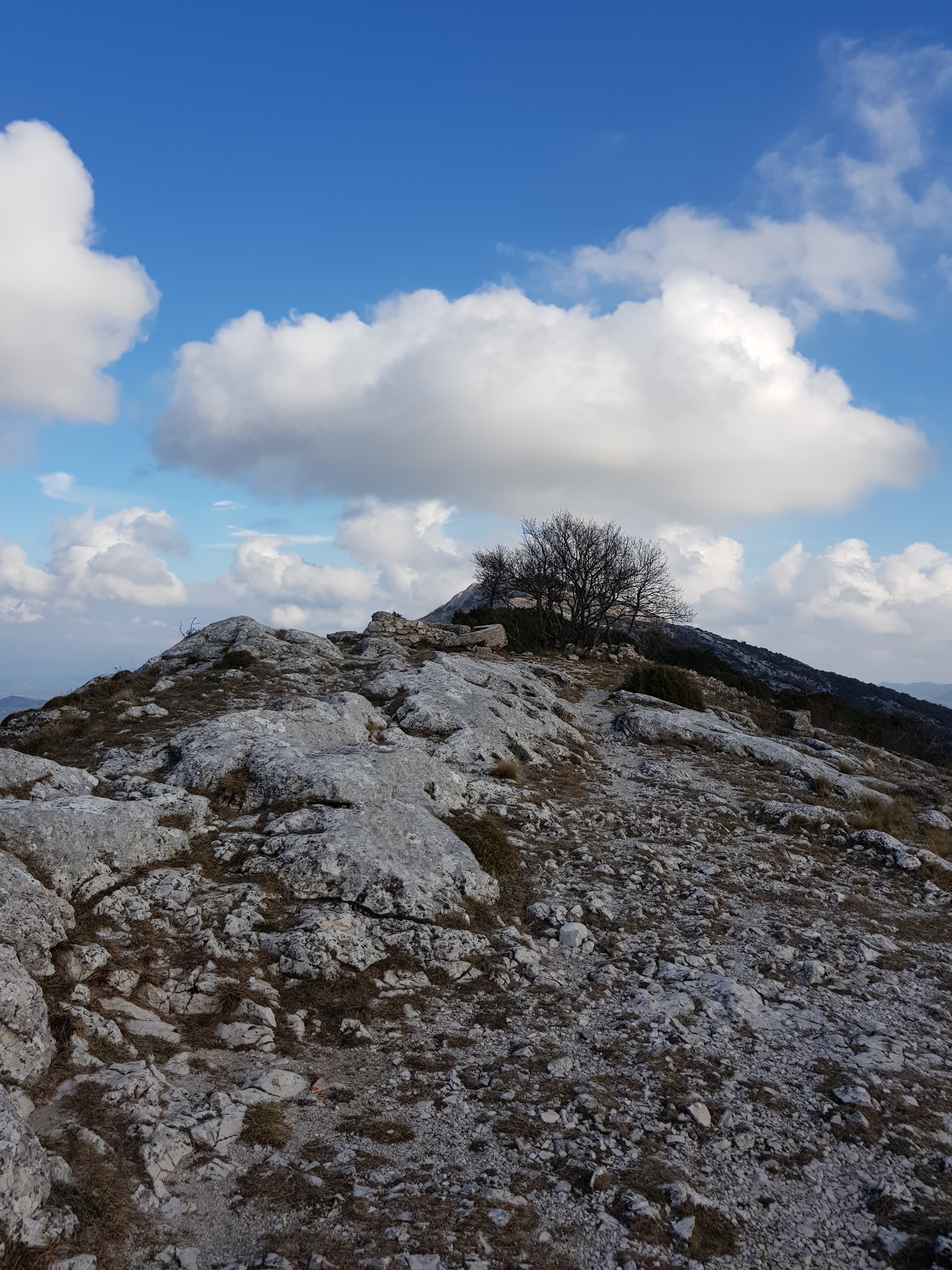 Photo n° 1 de l'avis de Béra.M fait le 20/01/2019 à 09:02
