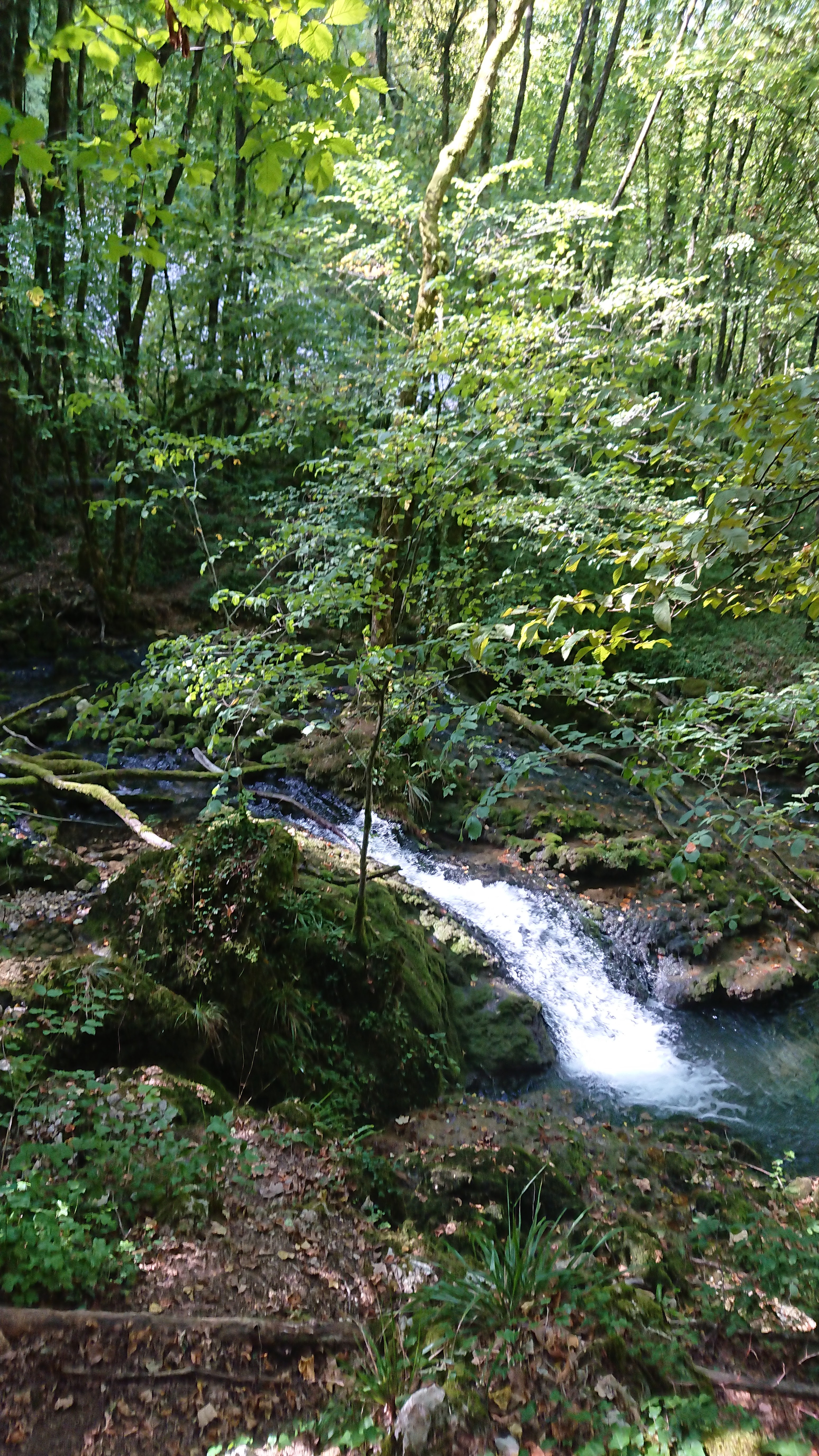 Photo n° 3 de l'avis de Patricia.a fait le 14/09/2019 à 15:10